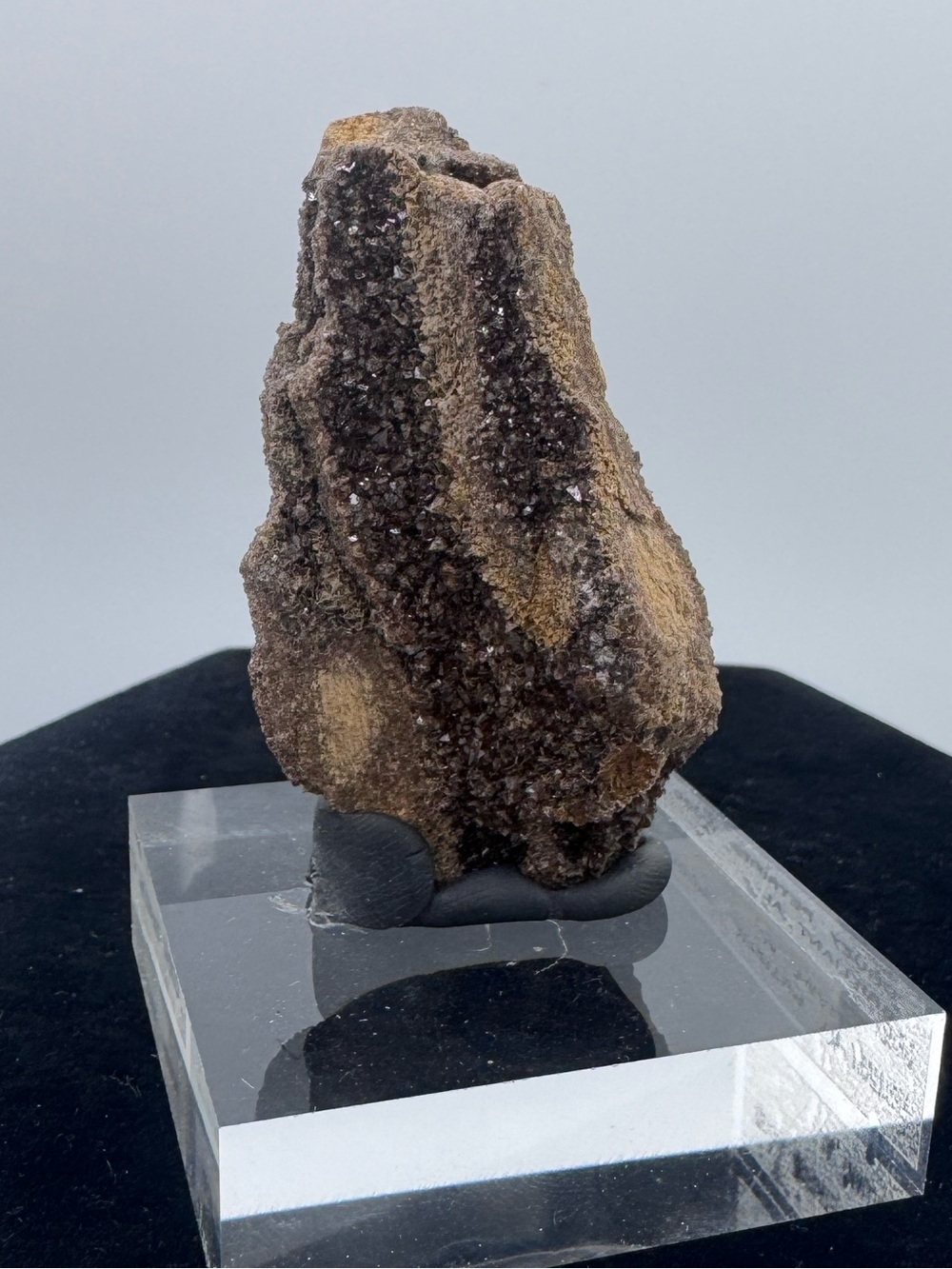 Druzy Petrified Wood Display Piece - Brilliant Alabama - Picture 3 of 6
